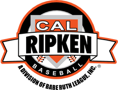 Axe Bat Official Baseball Bat for Cal Ripken Baseball League