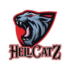 Team Axe Partnership with Hell Catz Baseball Program