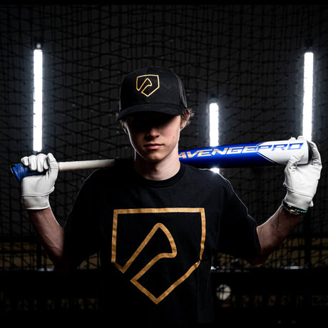 Composite bats, pros and cons for youth baseball, blog banner.