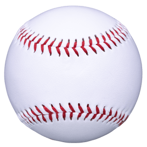 Autograph Baseballs, blank panel souvenir and team gift baseball, 1 dozen.